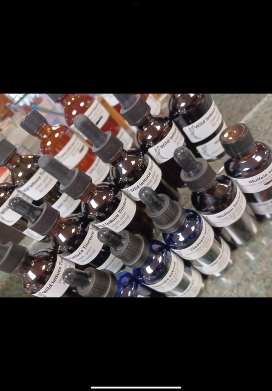Cleavers Tincture lymph system