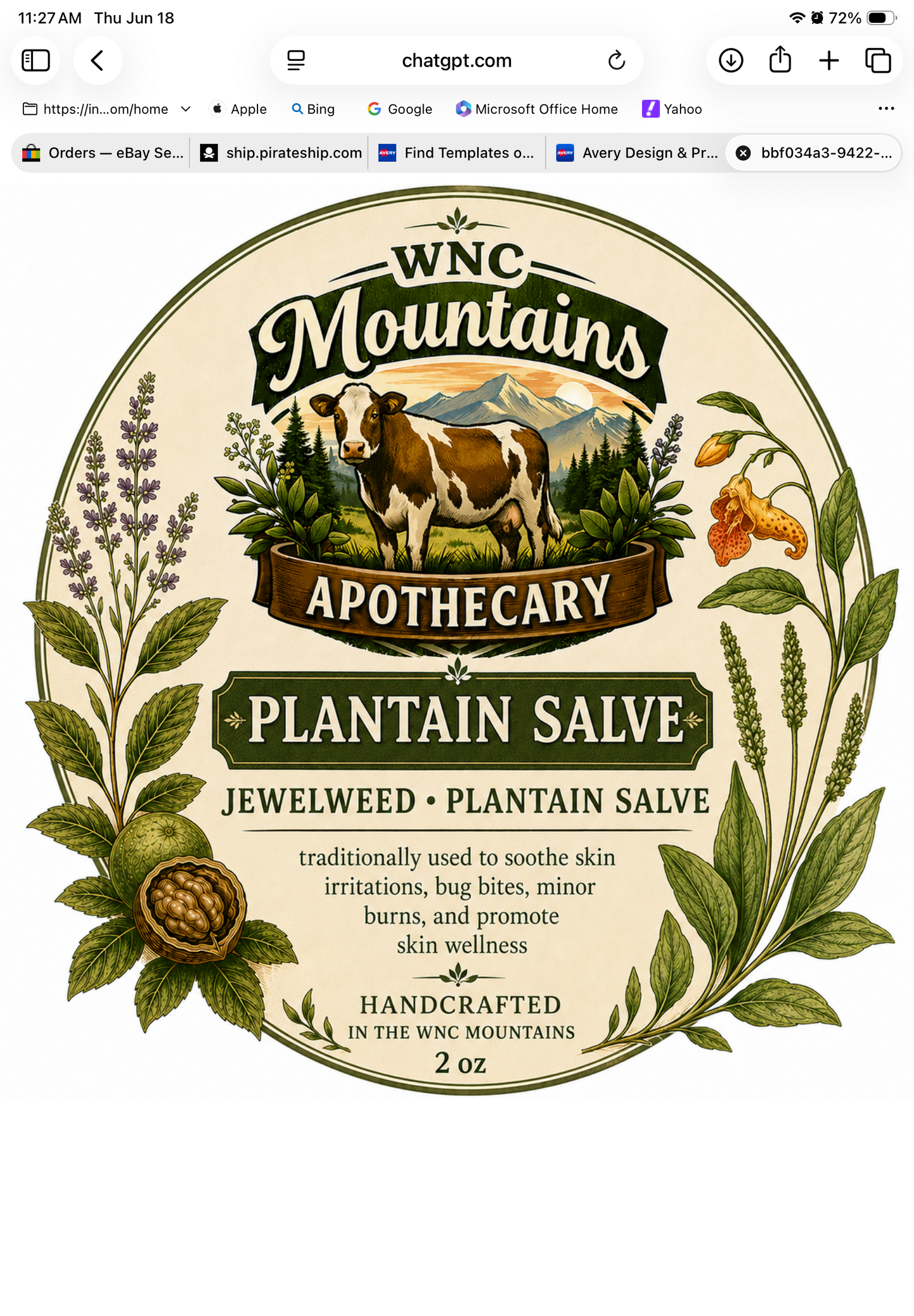 Fresh Jewelweed/plantain Salve itch and inflammation