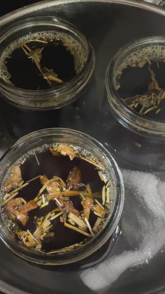 Comfrey /Solomon’s seal Salve Bone knit