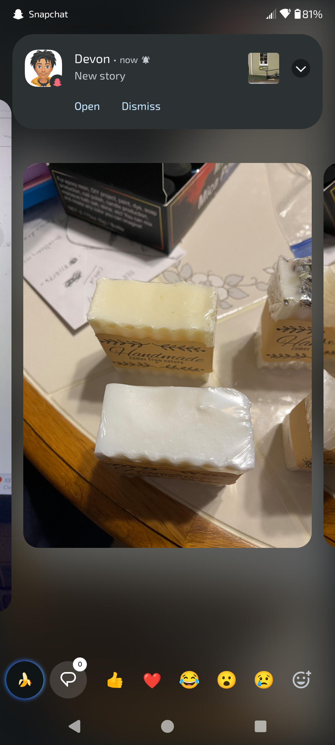 Grass-fed beef tallow Soap